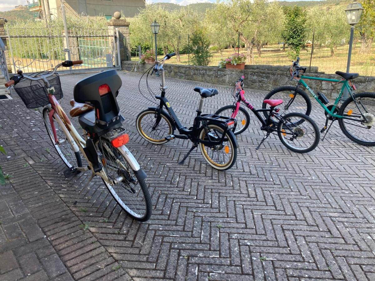 Le Coccole Del Trasimeno Pensionat Tuoro sul Trasimeno Exteriör bild