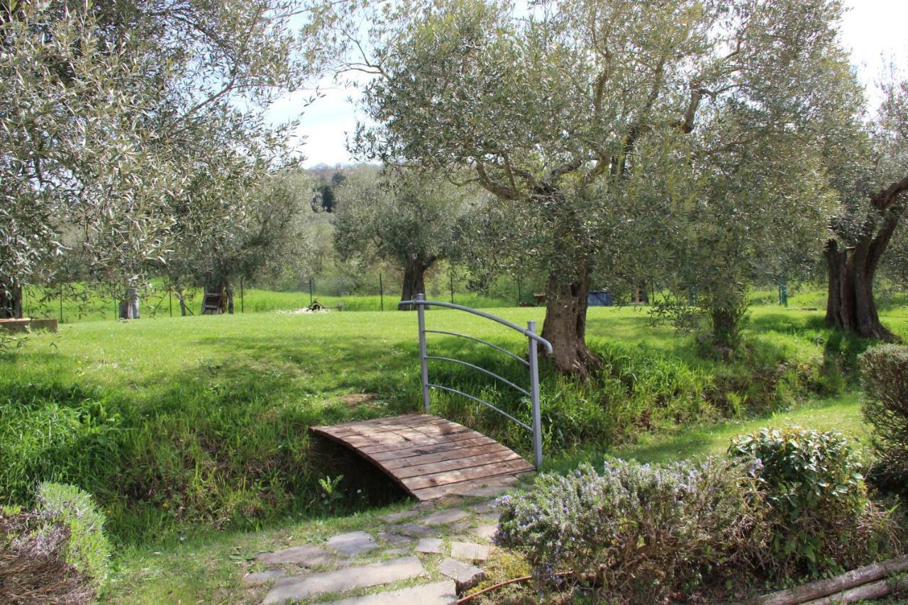 Le Coccole Del Trasimeno Pensionat Tuoro sul Trasimeno Exteriör bild