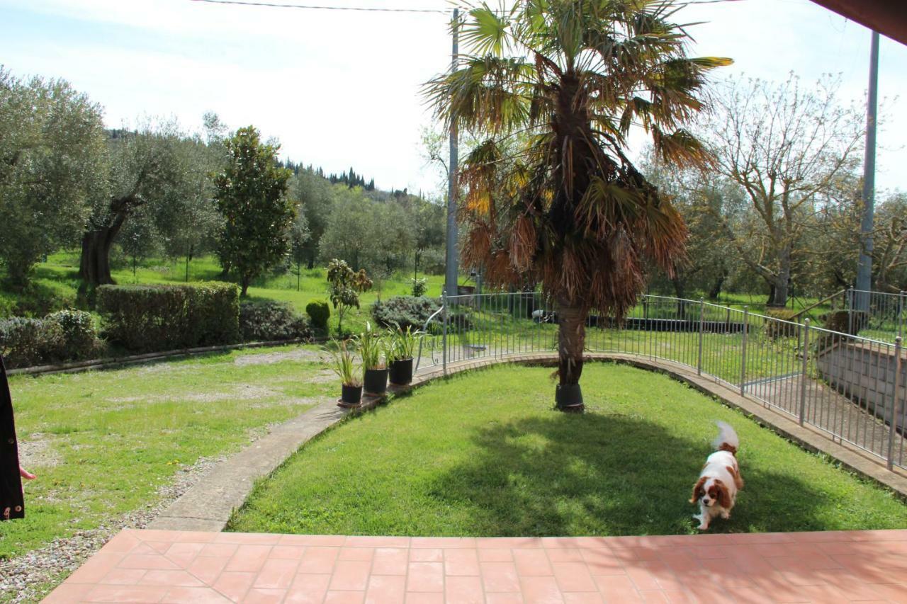 Le Coccole Del Trasimeno Pensionat Tuoro sul Trasimeno Exteriör bild