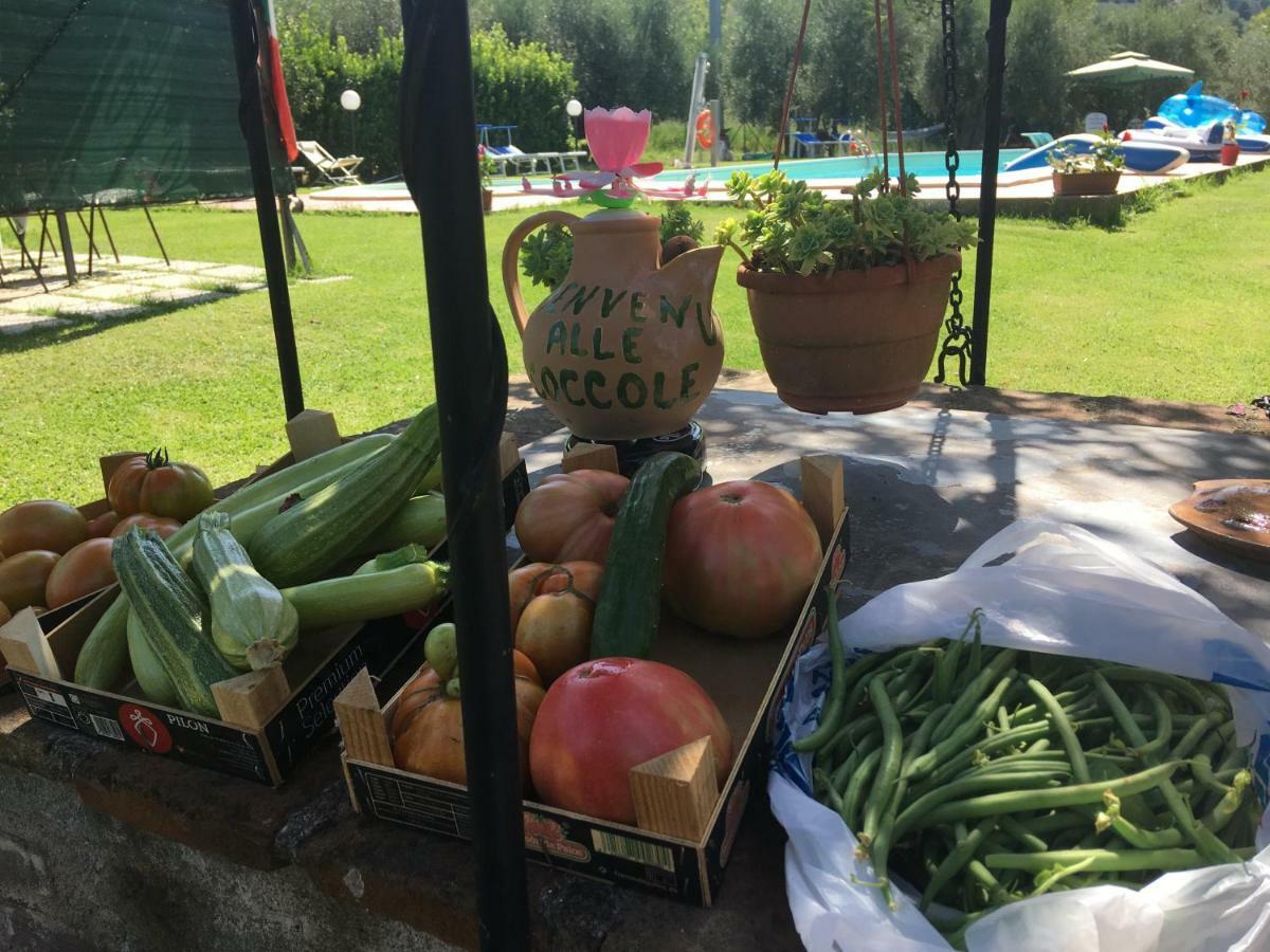 Le Coccole Del Trasimeno Pensionat Tuoro sul Trasimeno Exteriör bild
