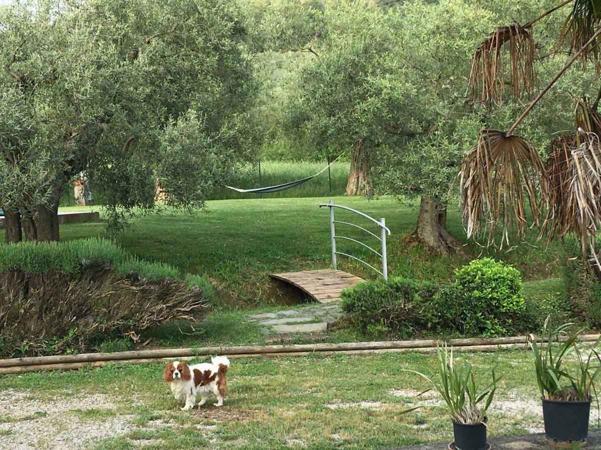 Le Coccole Del Trasimeno Pensionat Tuoro sul Trasimeno Exteriör bild
