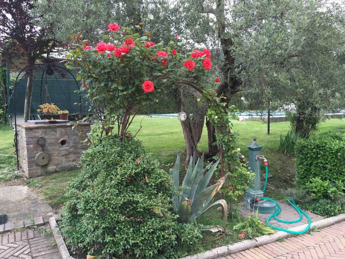 Le Coccole Del Trasimeno Pensionat Tuoro sul Trasimeno Exteriör bild