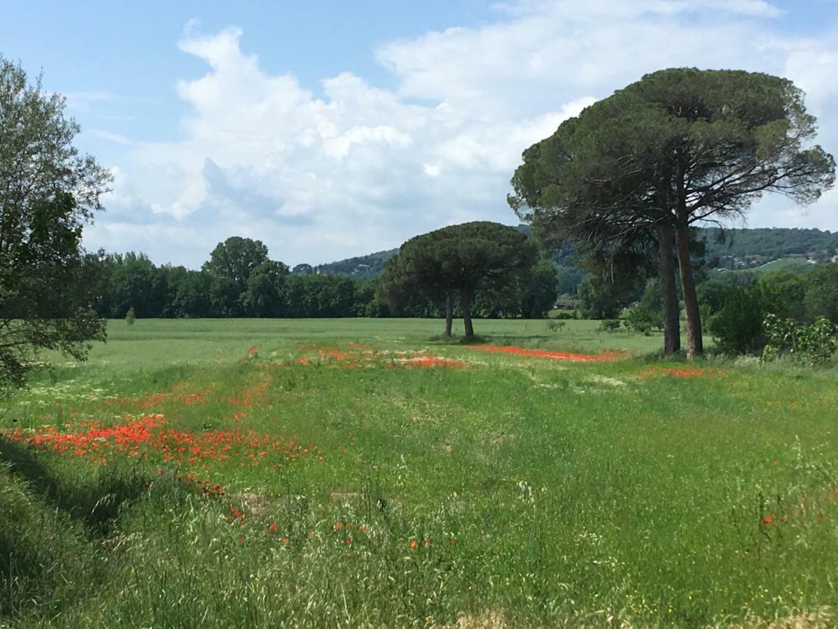 Le Coccole Del Trasimeno Pensionat Tuoro sul Trasimeno Exteriör bild