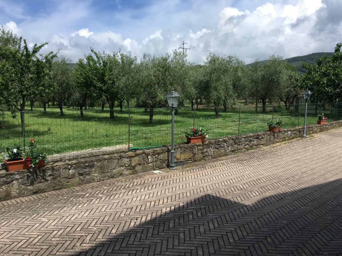 Le Coccole Del Trasimeno Pensionat Tuoro sul Trasimeno Exteriör bild